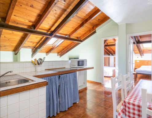 Buhardilla Cocina con techos de madera, barra con fregadero y microondas, decoración sencilla.