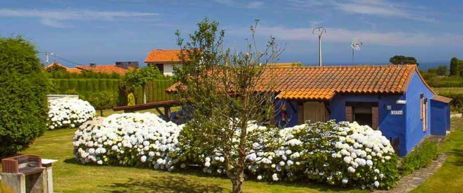 Casina Casa azul rodeada de arbustos blancos y un cielo despejado.